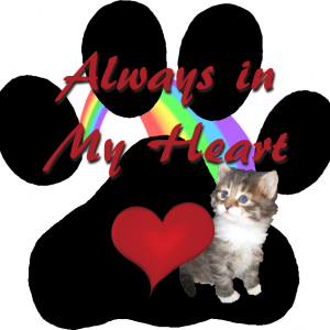 Digital Cat Paw Print with Rainbow and Small Heart Memorial