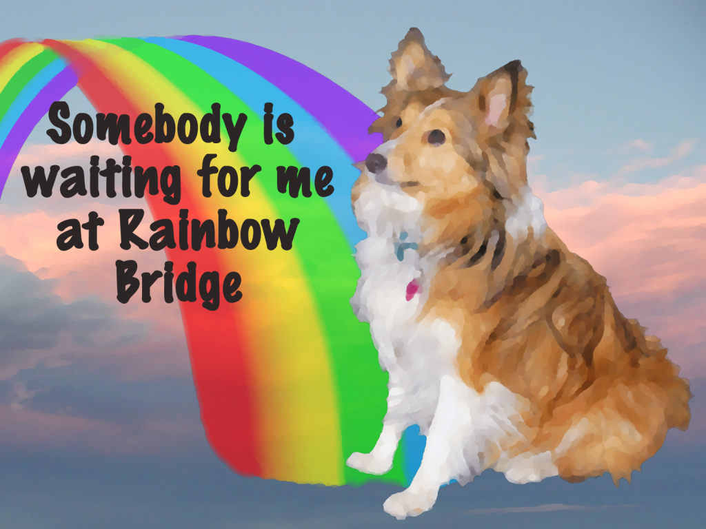 Digital Pet Portrait Sunset with Rainbow Bridge Memorial