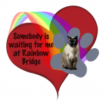 Pet Memorials - Digital Rainbow Bridge plus Heart with Cat Paw Print Memorial