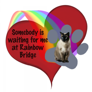 Digital Rainbow Bridge plus Heart with Cat Paw Print Memorial